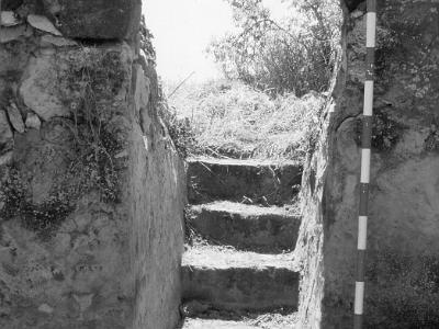 piques0006  ESCALES DE LA BASSA DE CAL CON. PARTIDA PLA DE LES MOLES.