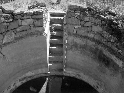 piques0009  BASSA DELS ROQUISSOS. PARTIDA DE MELONS.