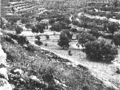fulleda0020  LA PARTIDA DE LA COMUNGLORA, 192O.