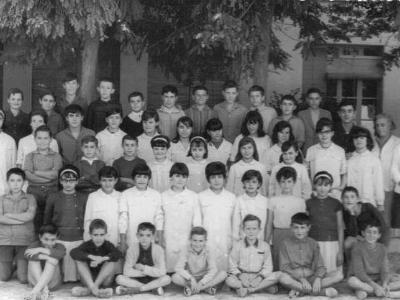 ESCOLA