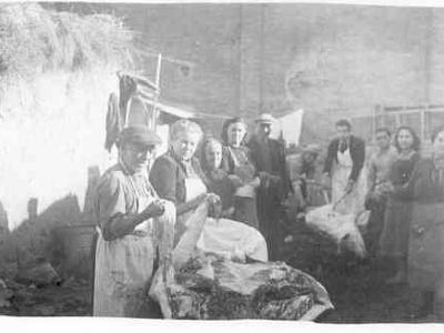 corralmoline  LA MATANÇA AL CORRAL DE CAL MOLINÉ: EL SERENET VELL, MARIA SANS BALLESTÉ, (?), RAMONA FARELL, MIQUEL SALA, (?), FRANCISCO SANS, JOAQUIM FALCÓ, NATI SANS, MARIA SOLÉ "SANS".