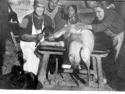 porc  UNA MATANÇA.