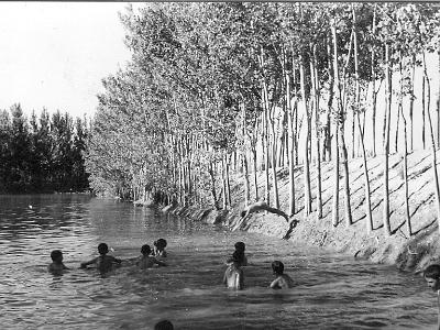 pantano0006