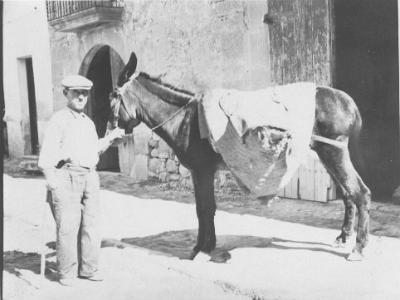 Escaner25  RAMON CURCÓ COSTAFREDA, "VELL GEPO".