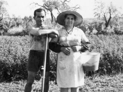 sere0032  JOAQUIM FALCÓ I CECILIA MATEU.