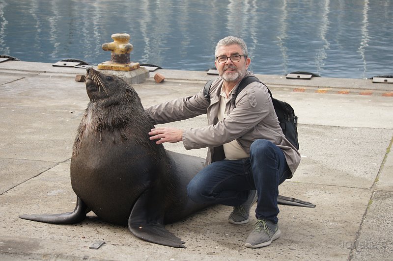 ANIMALS