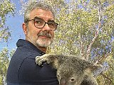 Koala.JPEG