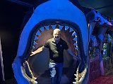 MelbourneSeaLife.JPEG