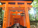 kyoto-fushimi-inari12.JPG