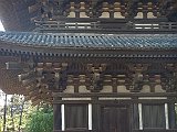 nara-kofuku-ji3.JPG