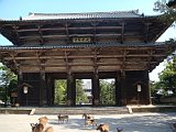nara-nandaimon.JPG