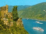 rhincastell.jpg