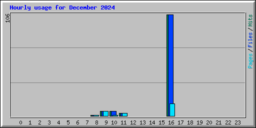 Hourly usage for December 2024