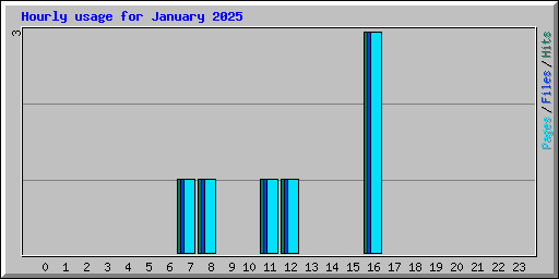 Hourly usage for January 2025