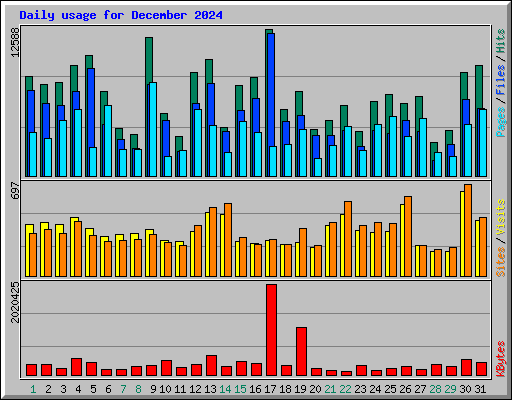 Daily usage for December 2024