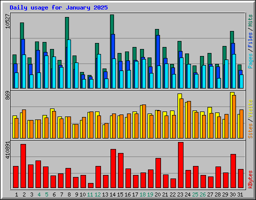 Daily usage for January 2025