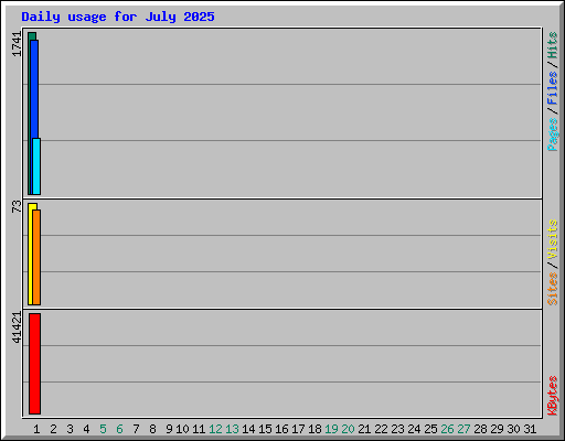 Daily usage for July 2025