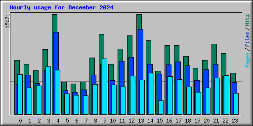 Hourly usage for December 2024
