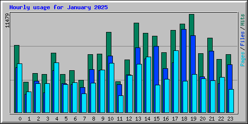 Hourly usage for January 2025