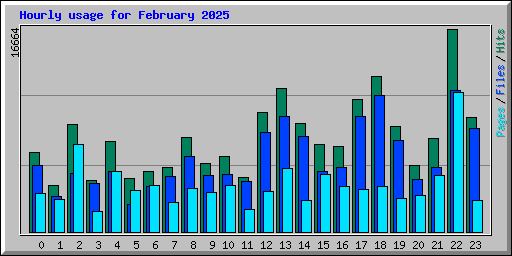 Hourly usage for February 2025