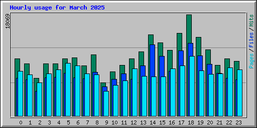 Hourly usage for March 2025