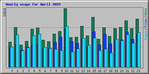 Hourly usage for April 2025