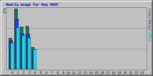Hourly usage for May 2025