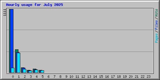 Hourly usage for July 2025