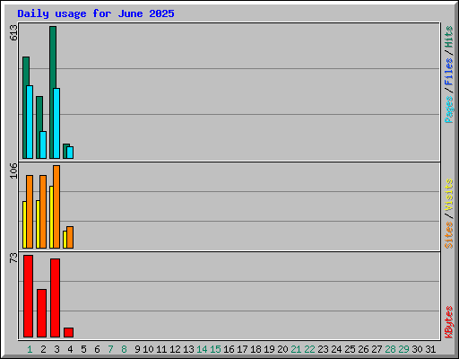 Daily usage for June 2025
