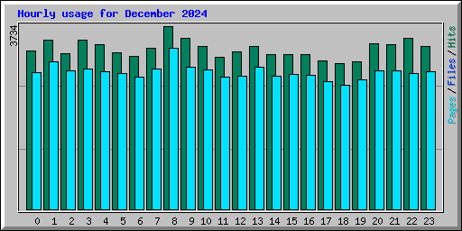Hourly usage for December 2024