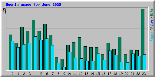 Hourly usage for June 2025